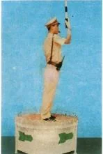 Hình minh họa câu 37