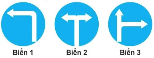 Hình minh họa câu 441