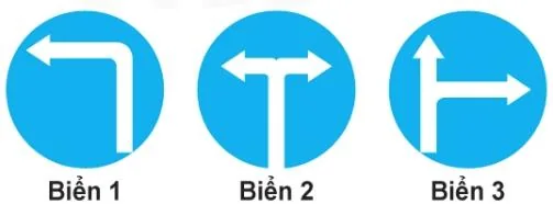 Hình minh họa câu 442